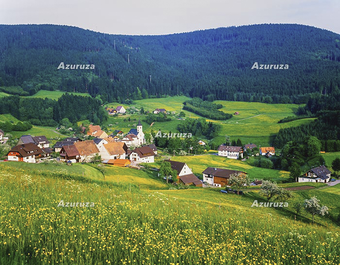 Schwarzwald,シュヴァルツヴァルトの草原の集落